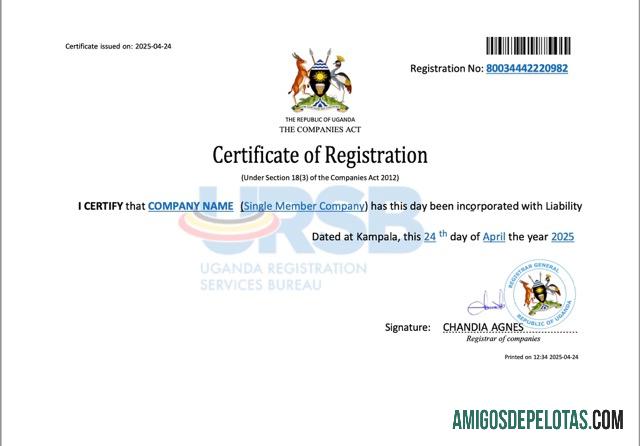 certificado de registro de empresa em branco em Uganda modelo Word e PDF